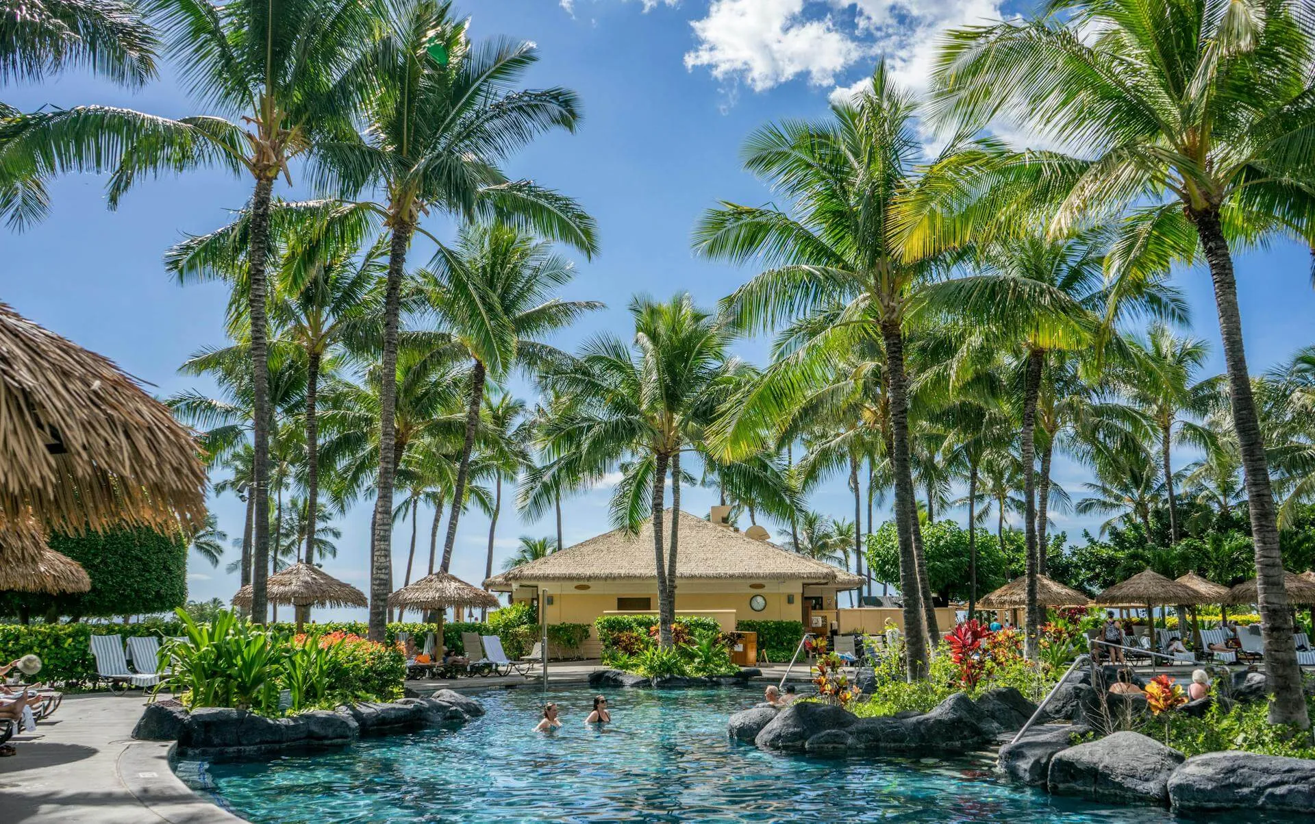 Resort pool with palm trees, tiki-style buildings, and guests swimming in turquoise water