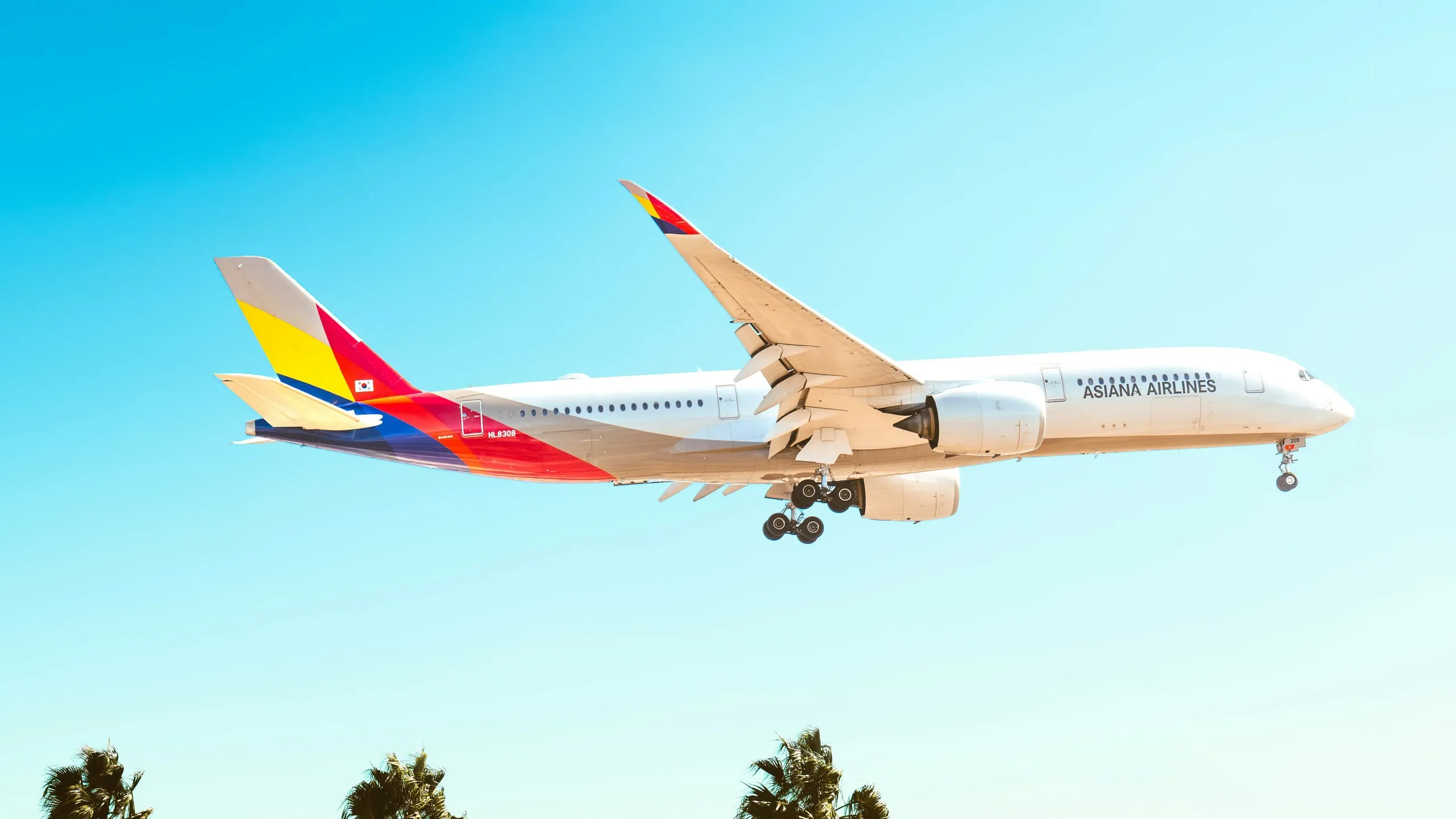 An Asiana Airlines Airbus A350-900 landing at Los Angeles International Airport over palm trees
