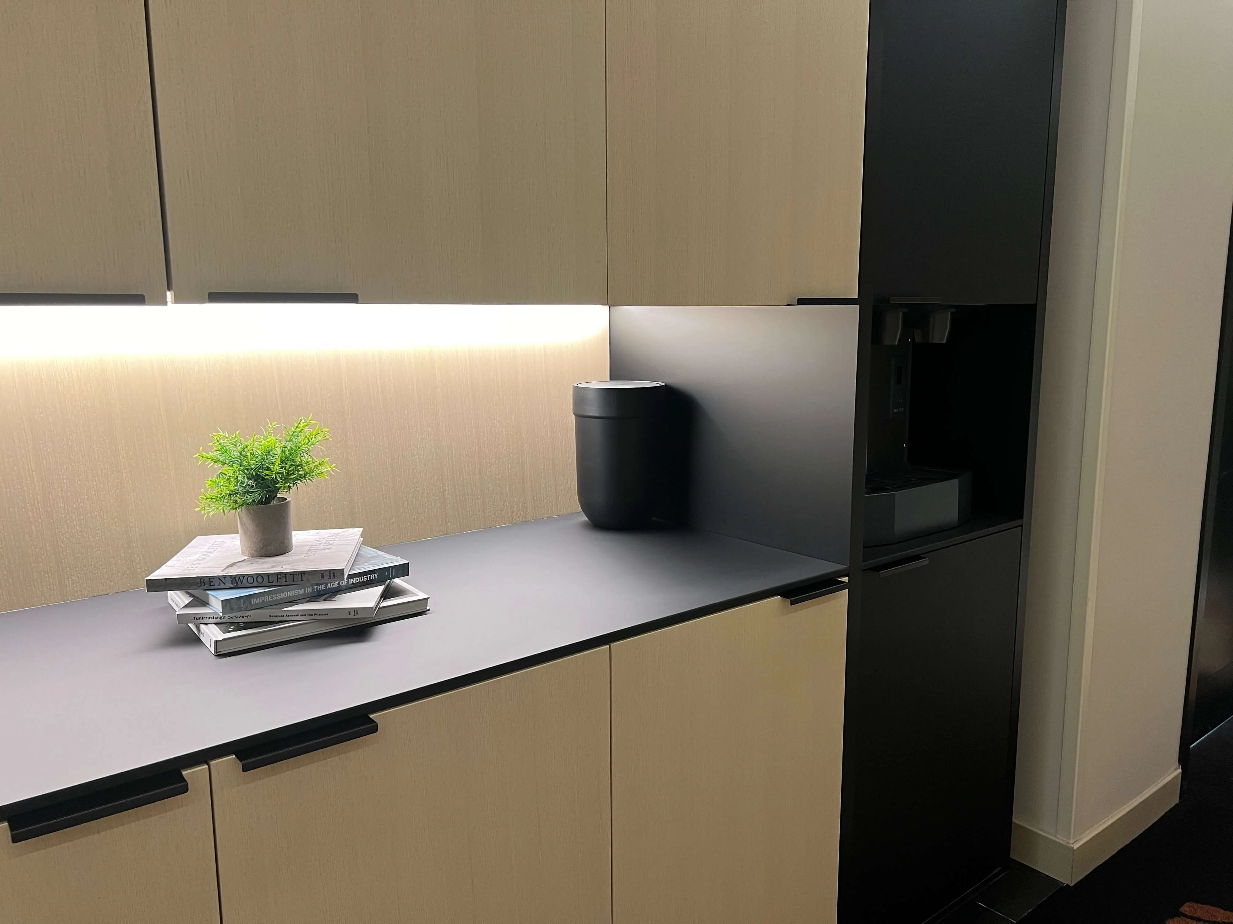 Modern kitchen with light wood cabinetry, gray countertop, integrated black appliances, and minimalist styling with a small potted plant and stacked magazines.
