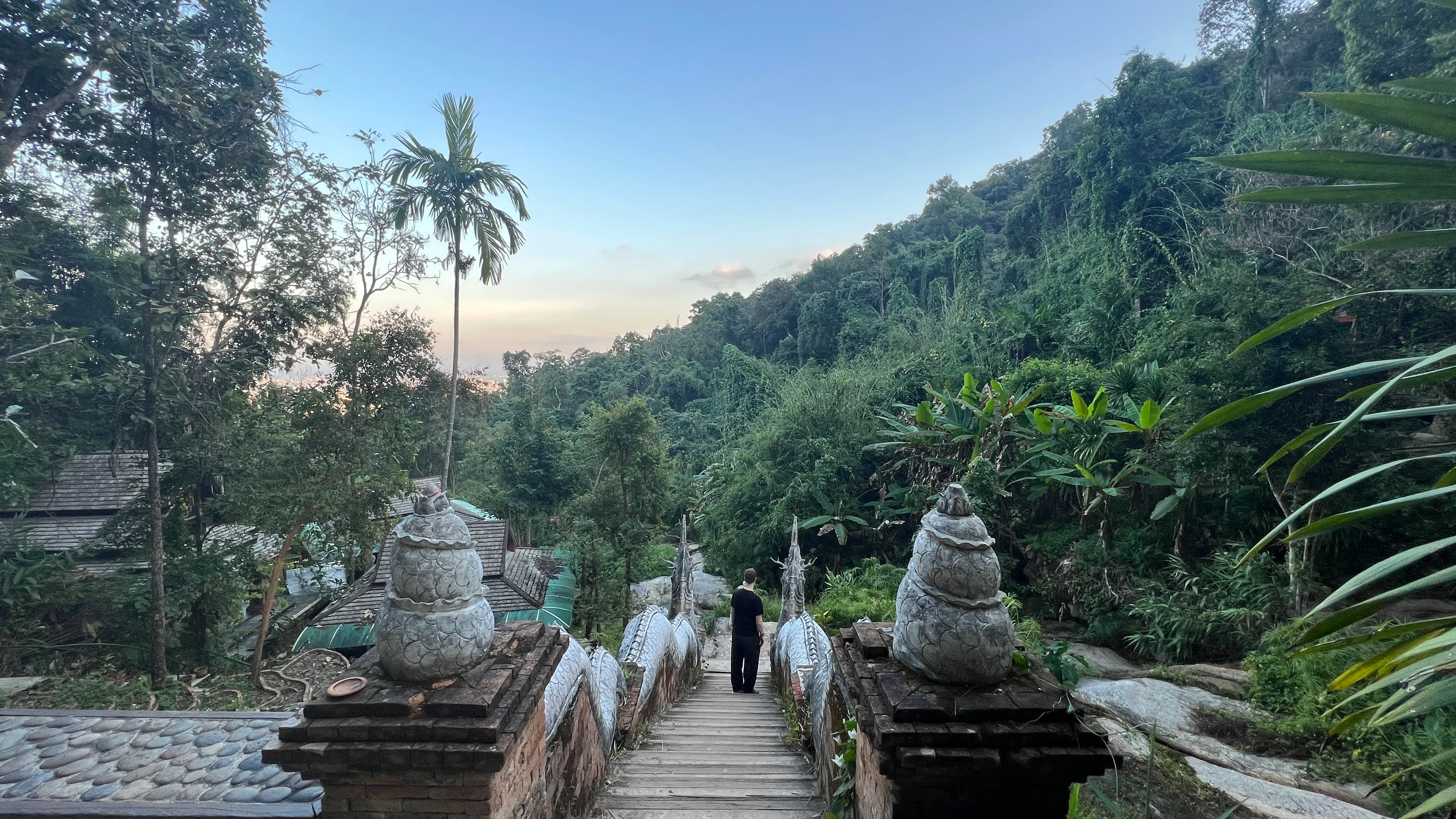 Stone guardian statues and wooden bridge on forest pathway at dawn, surrounded by dense jungle vegetation.