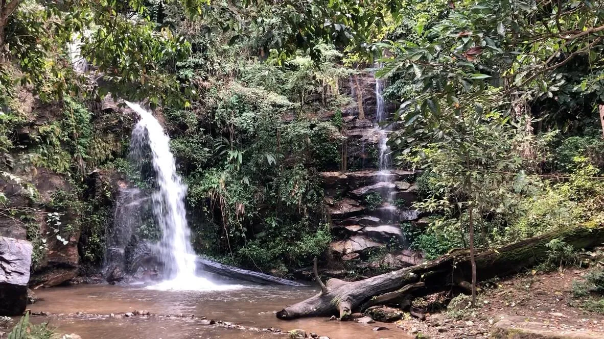 Waterfall cascading into a pool surrounded by lush tropical forest and fallen logs at Montha Tan waterfall