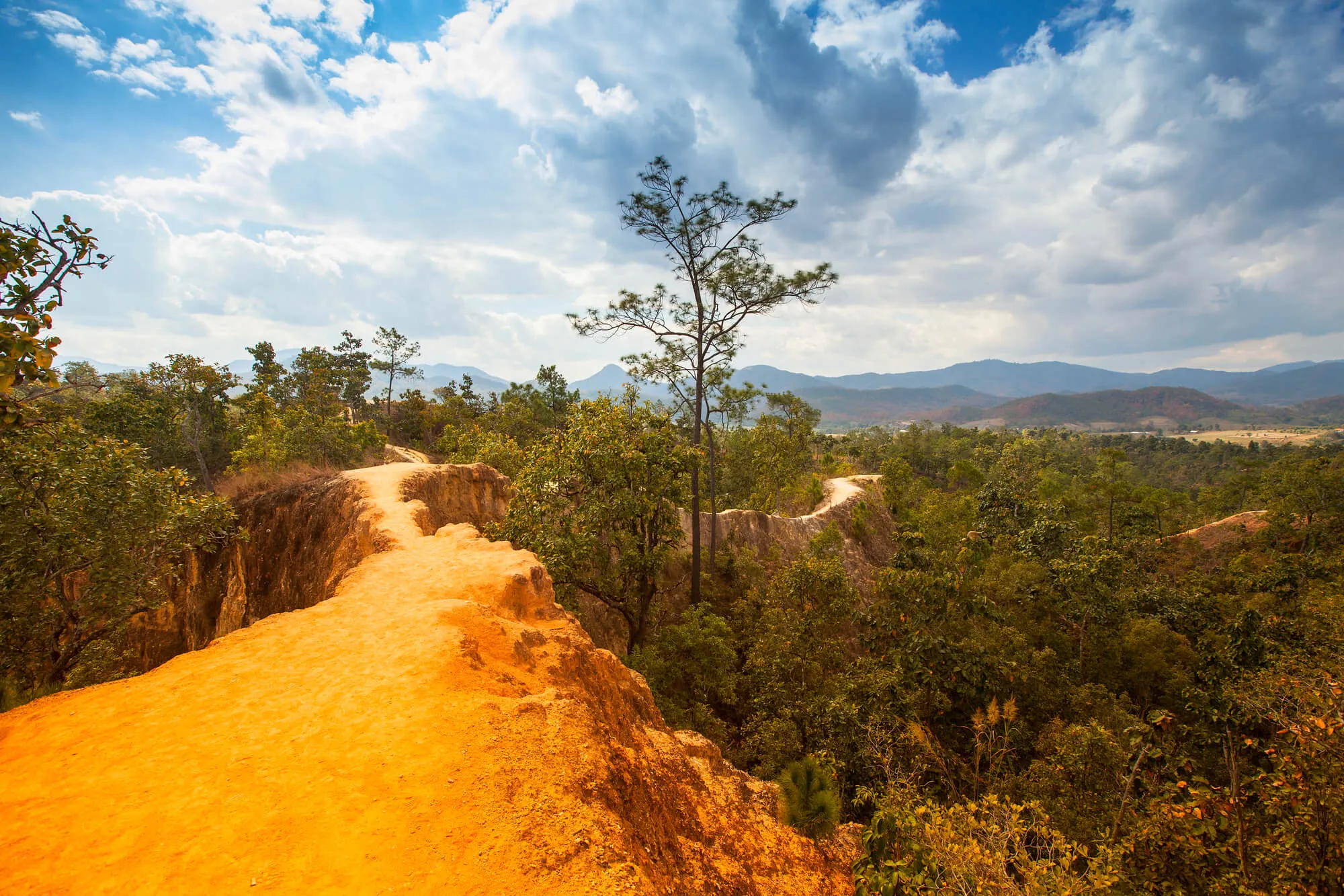 Pai Canyon with golden-red cliffs, pine trees, and mountains under blue sky with clouds