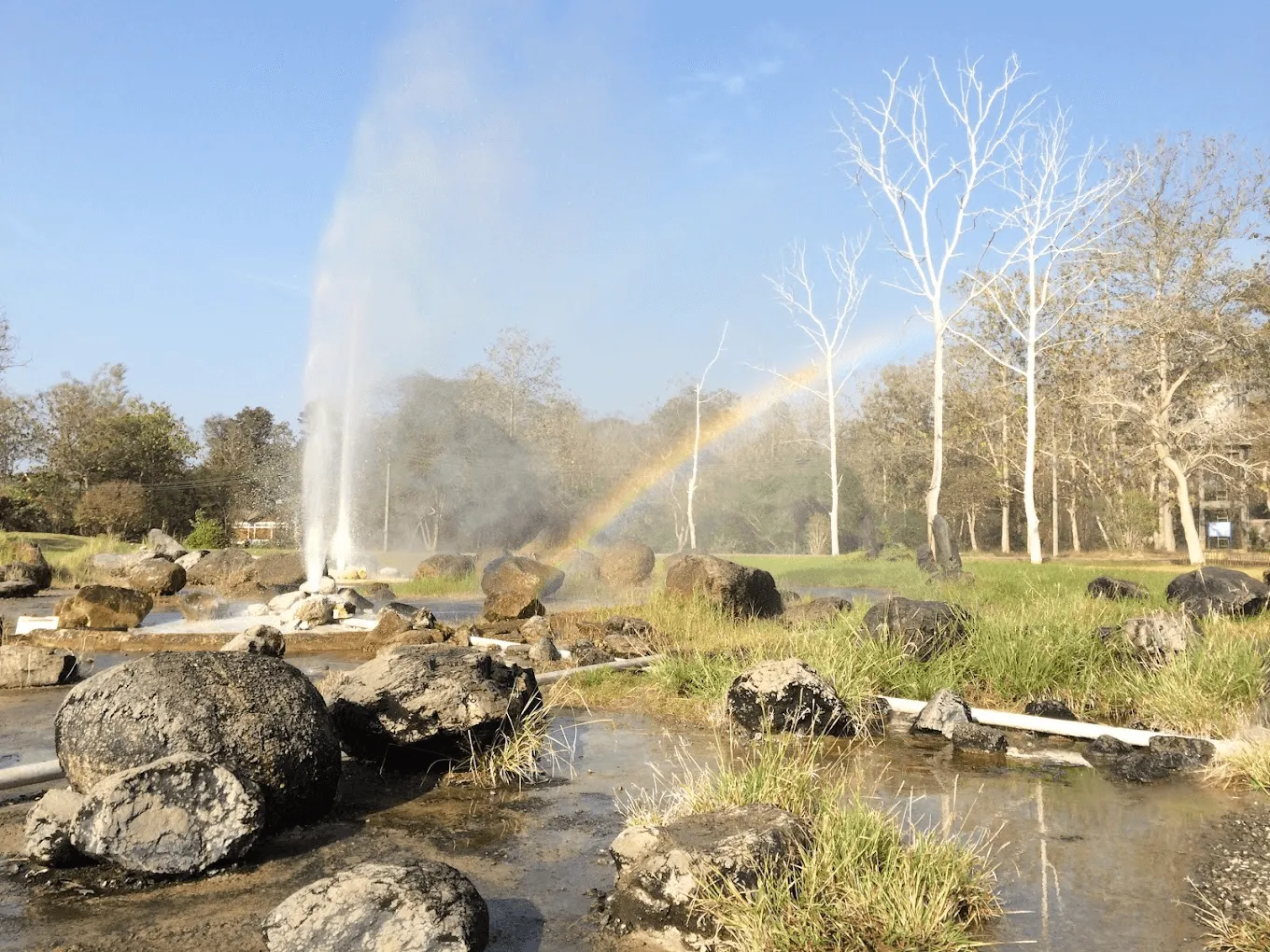 Hot spring geyser with rainbow mist erupting in Sankampeng hot springs park, surrounded by bare trees and thermal pools