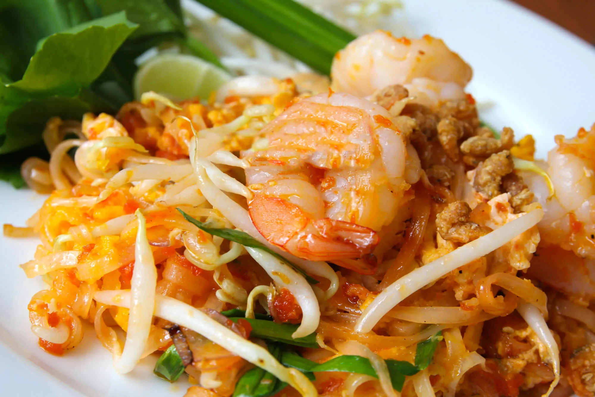 Pad Thai with shrimp, crispy noodles, bean sprouts, and green onions on white plate