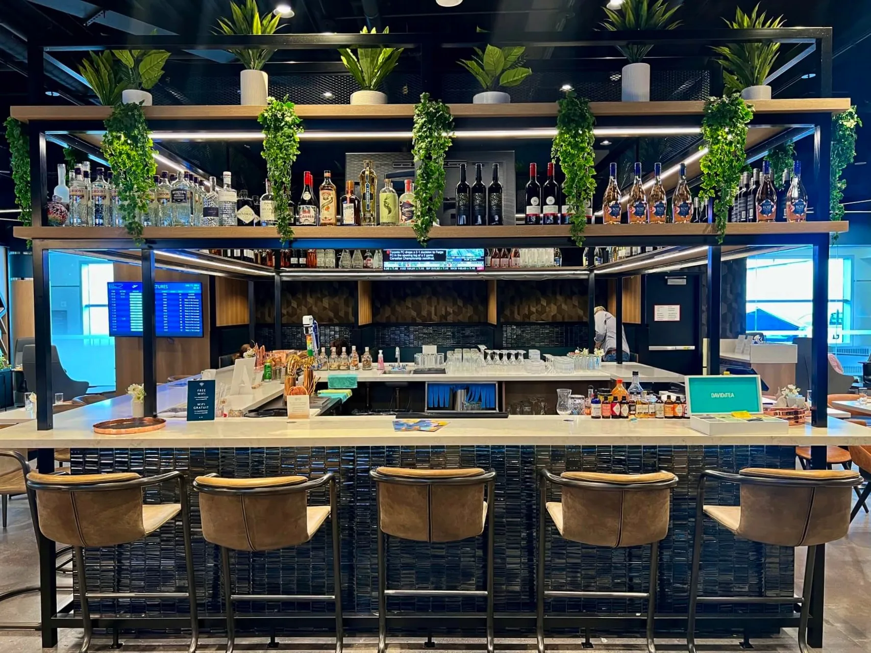 Aspire Lounge bar counter with leather seating, shelved spirits, and cascading greenery at Toronto Pearson Airport